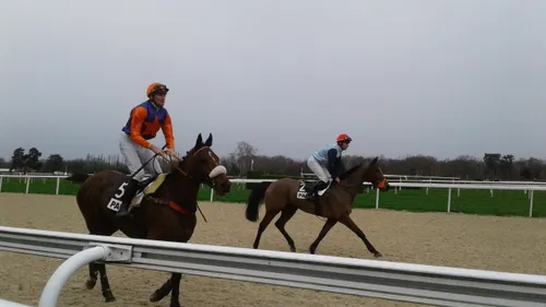 Hippisme : nos préférés pour ce dimanche 18 décembre